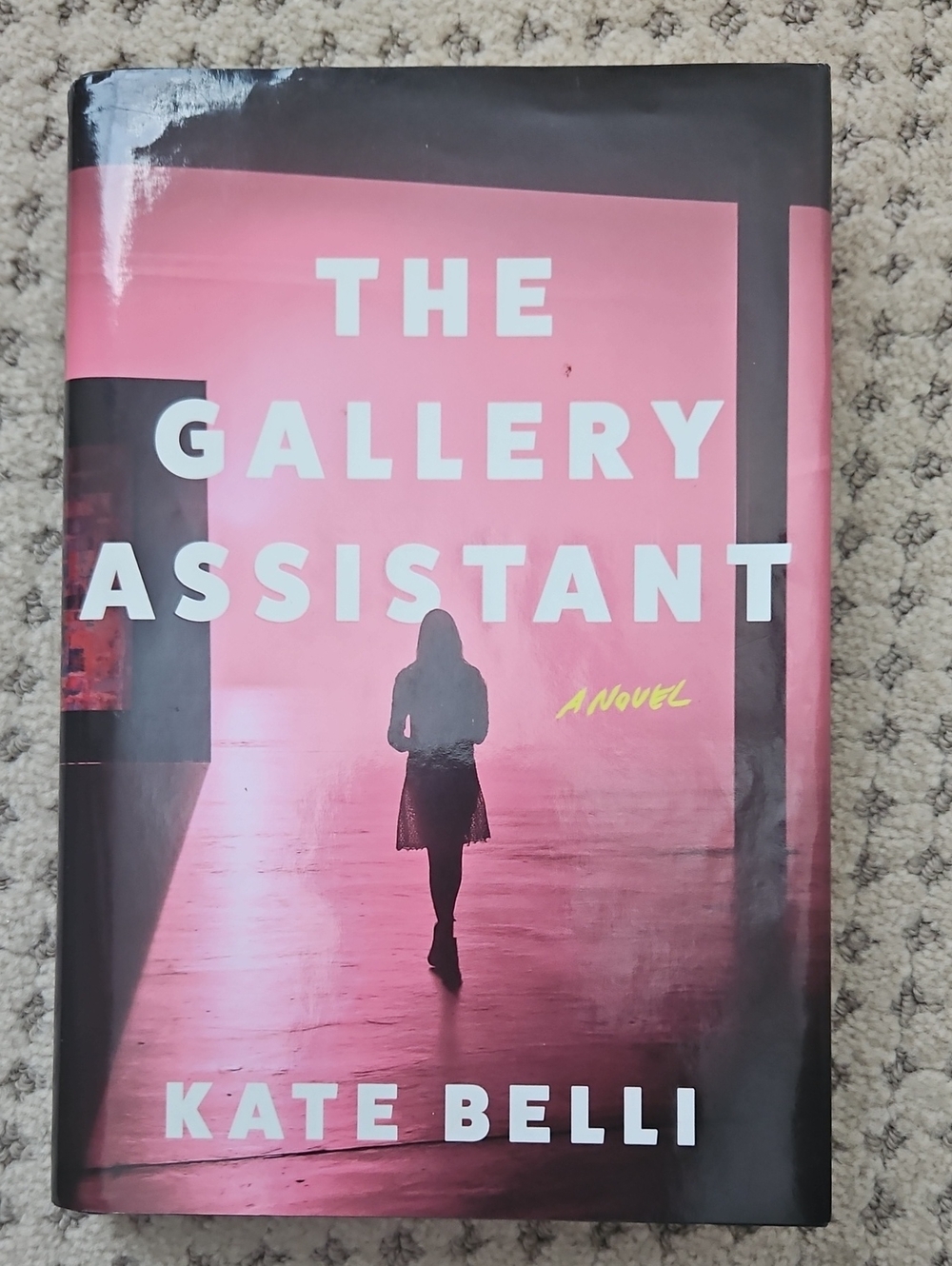 The Gallery Assistant: A Novel Hardcover Book